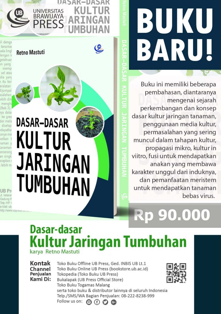 Promo Kultur copy