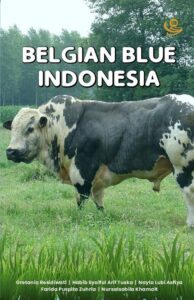 Belgian Blue Indonesia