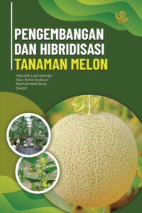 Pengembangan dan Hibridisasi Tanaman Melon